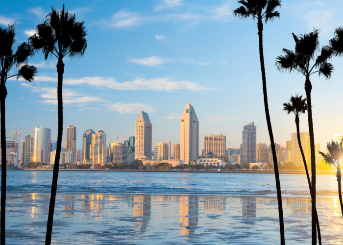 San Diego skyline with palm trees in the foreground