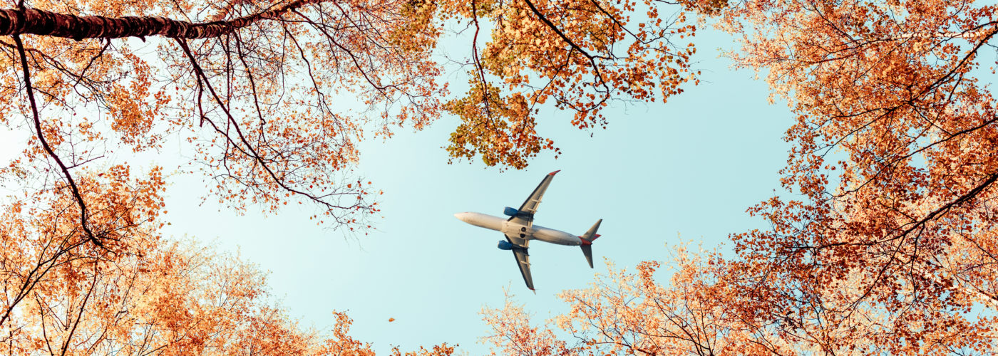 Airplane flying through the sky as seen from the ground through autumn trees