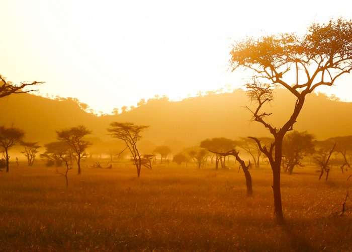 best places to go in Africa