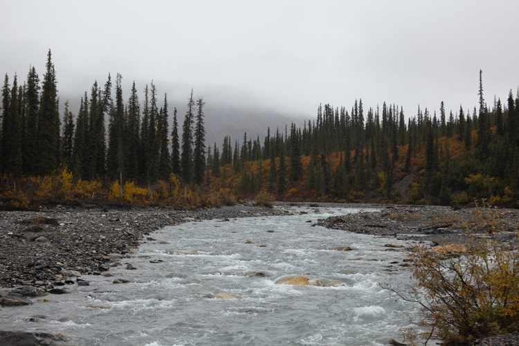 Gates of the arctic national park treelined river